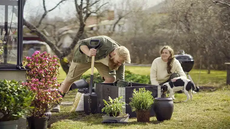 Plantekasse for nybegynnere
