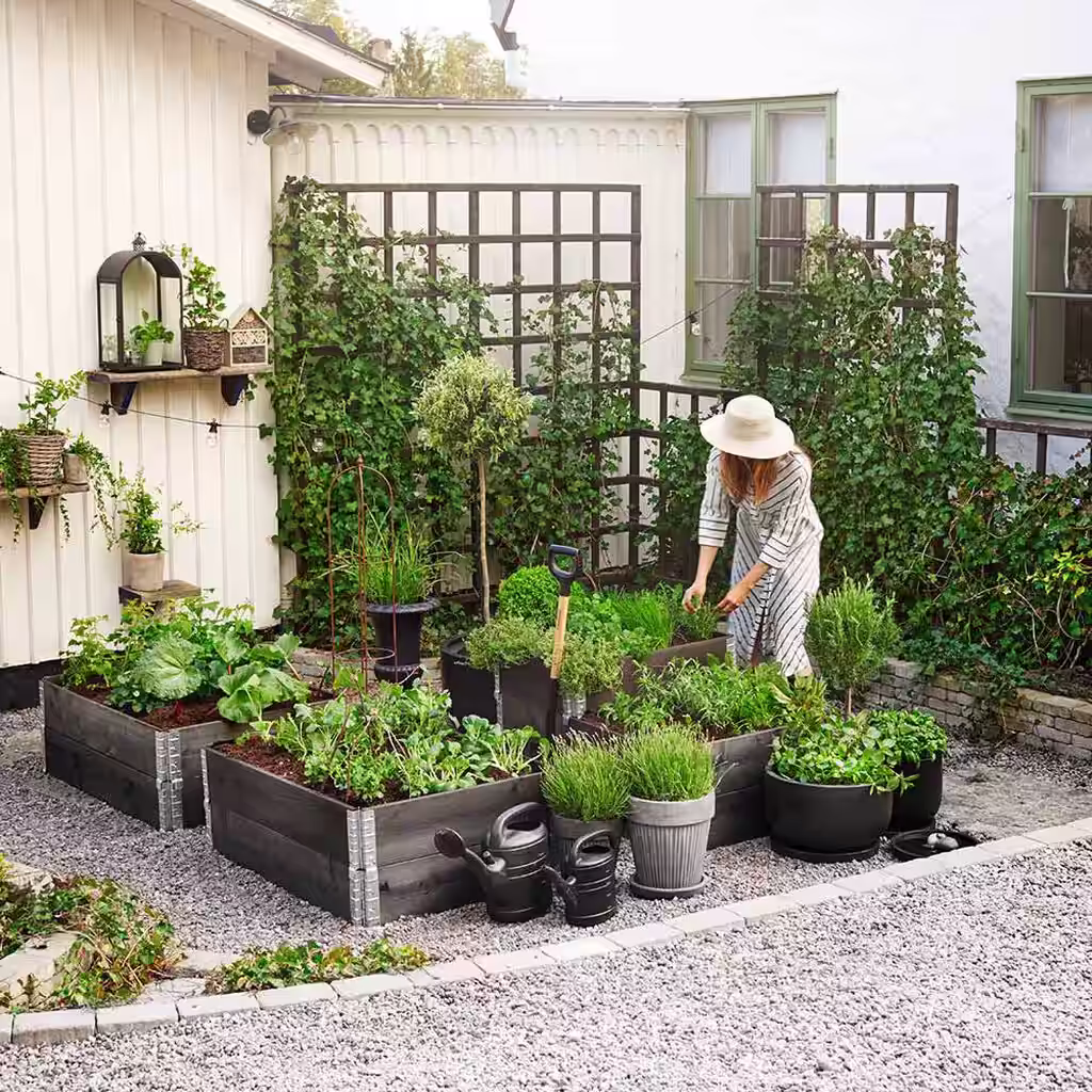 Lage kjøkkenhage – slik lykkes du