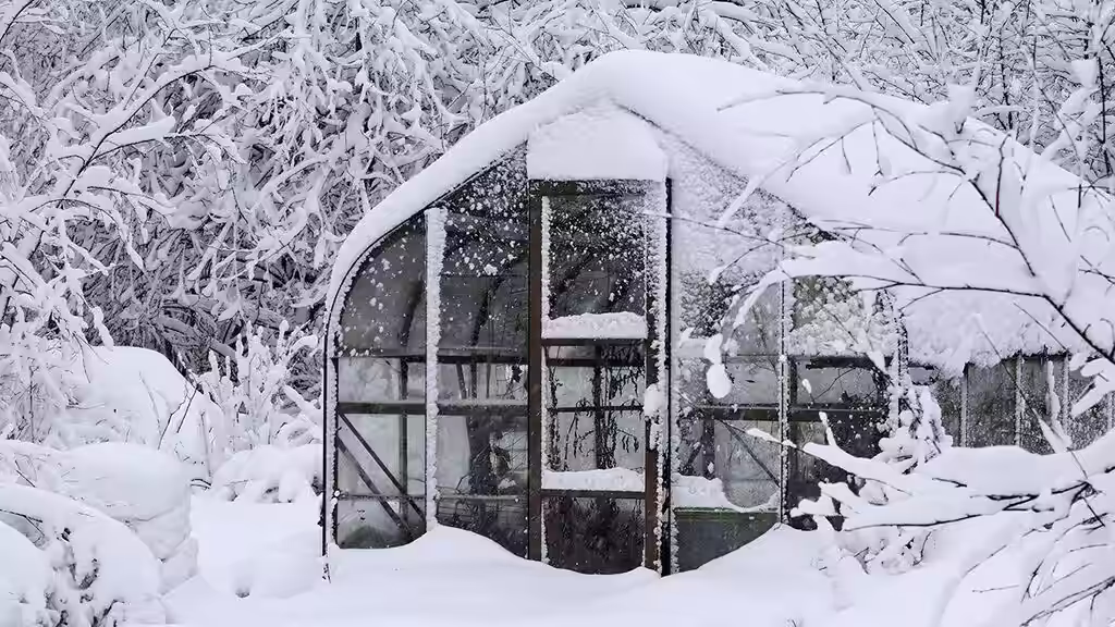 Februar – dette kan du så og dyrke