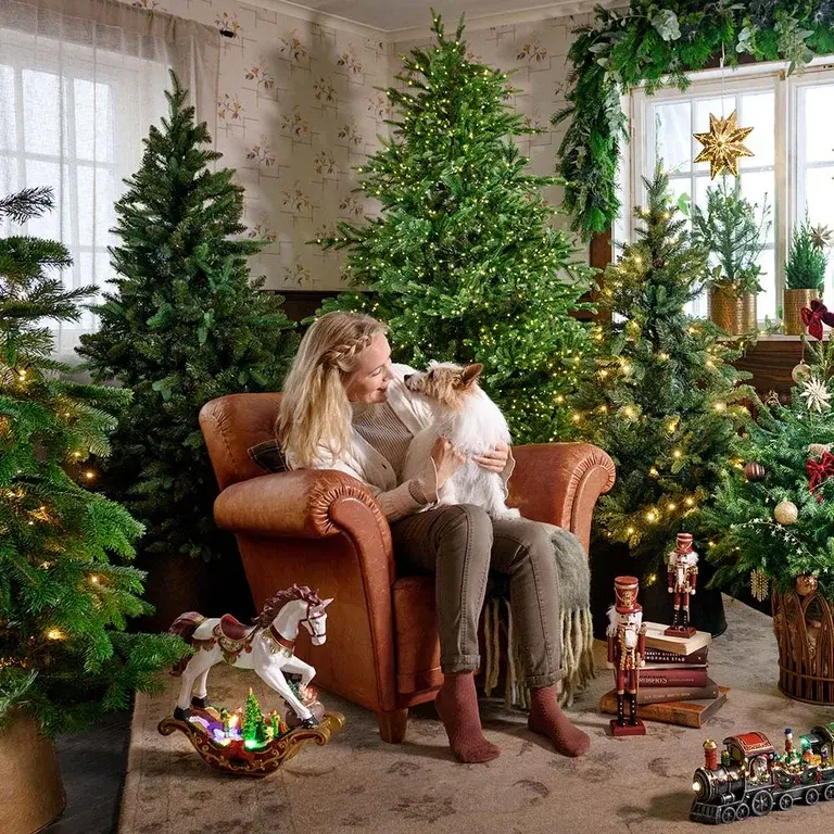 Hvilket juletre er best hjemme hos deg? 