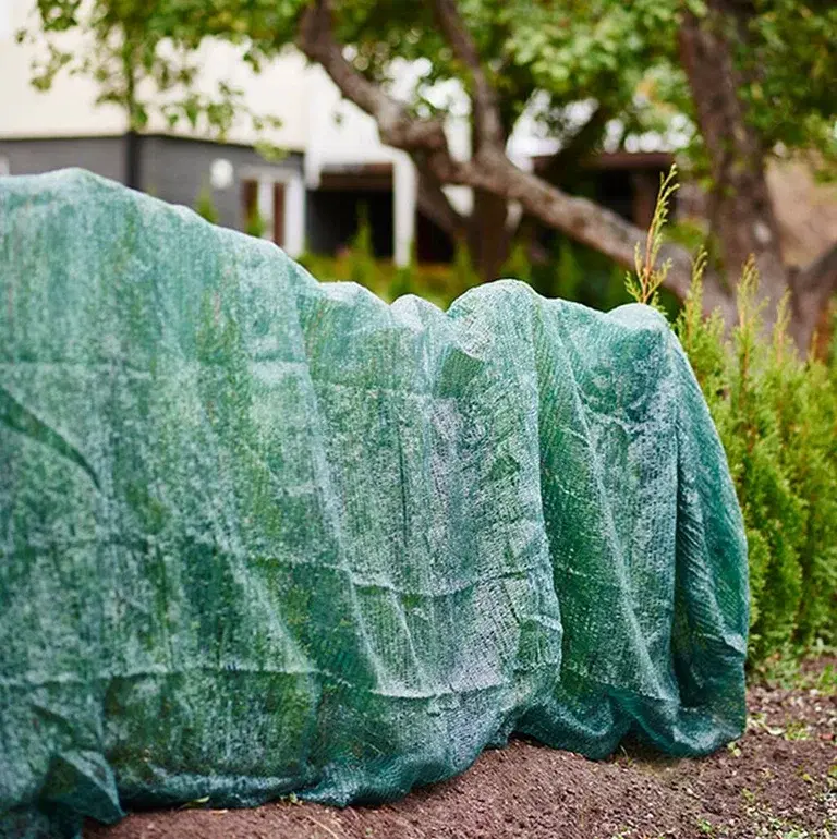 Vintertildekking av planter 