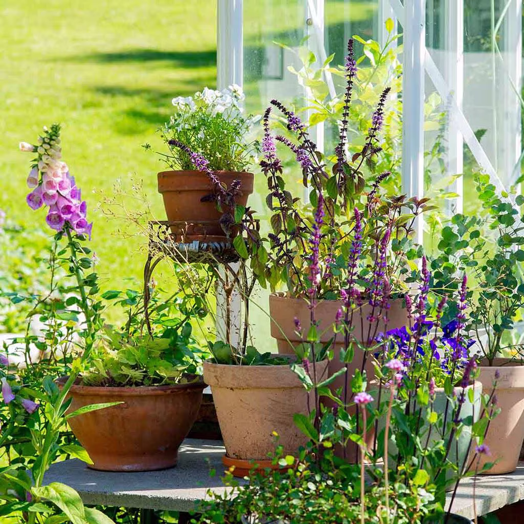 Hagebesøk: En smak av Middelhavet hos Anniken