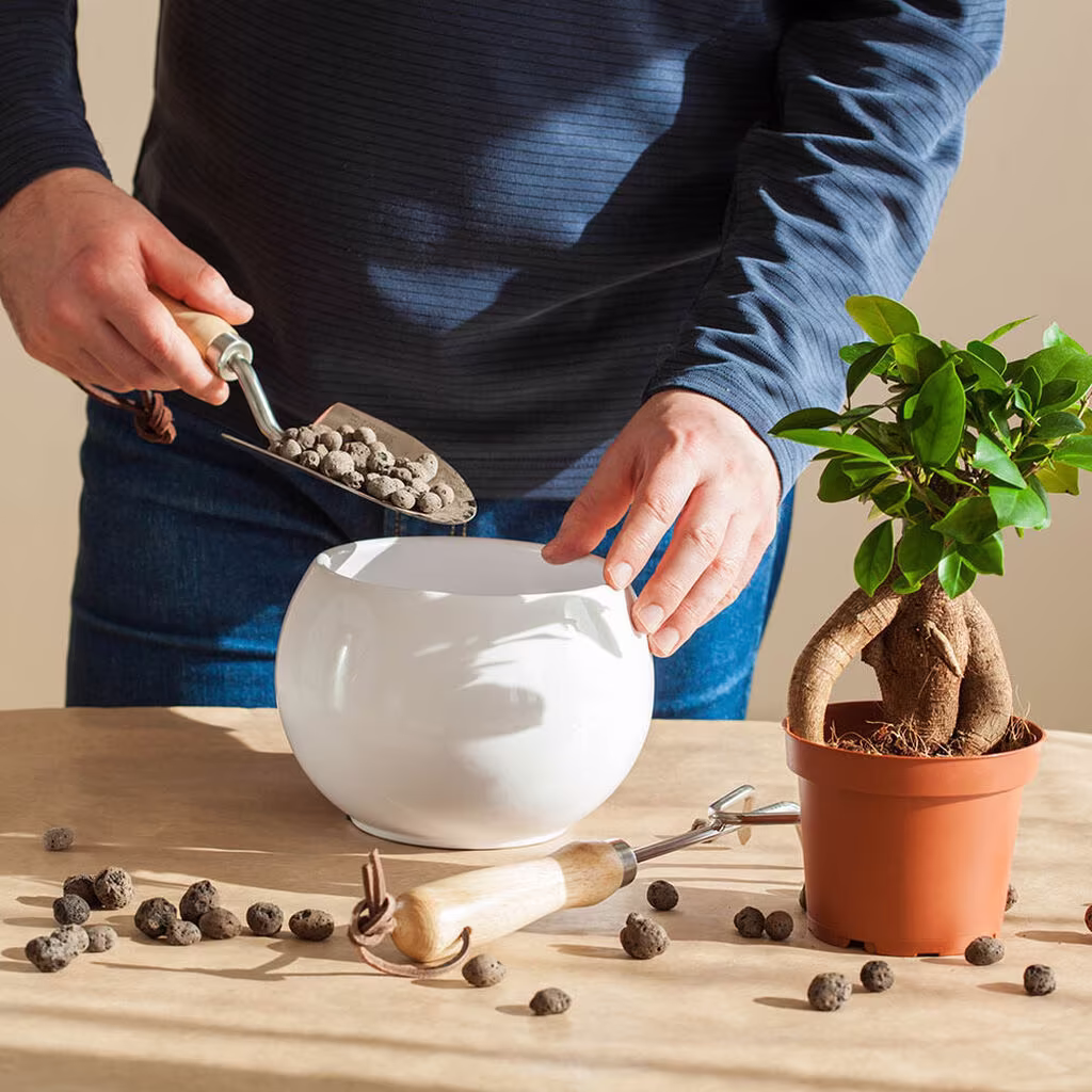 Drenering og luftig jord – med lecakuler 