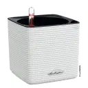 Selvvanningspotte Cube