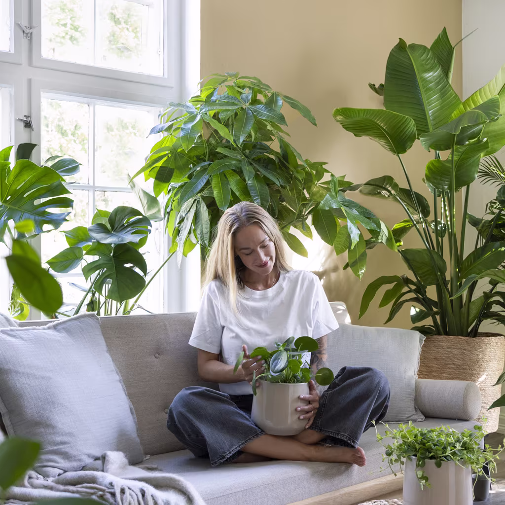 Her er plantetrendene for 2025 