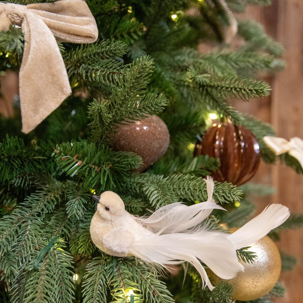 Dette er en bildeillustrasjon av  🪶