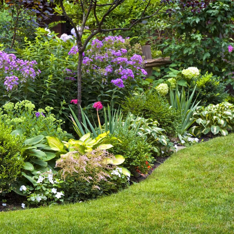 Blomsterbed – slik lykkes du 