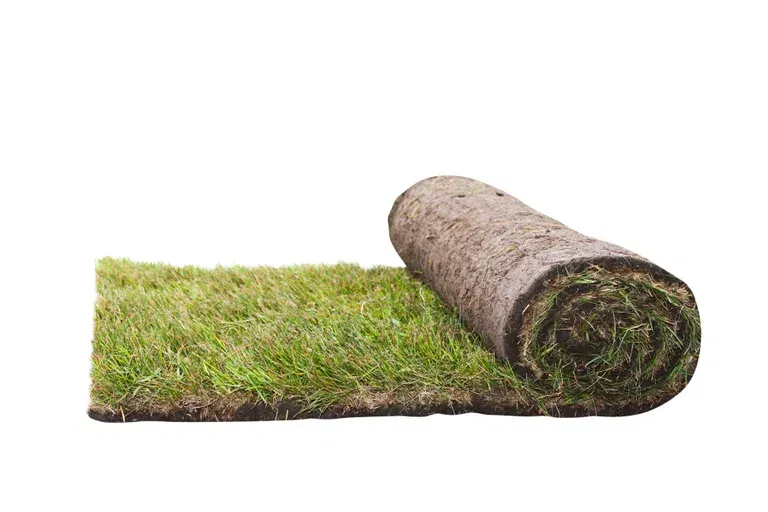 Ferdigplen - bestill og hent i butikk