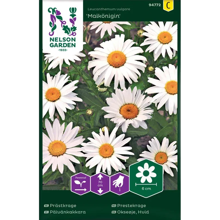 Prestekrage 'Maikönigin'