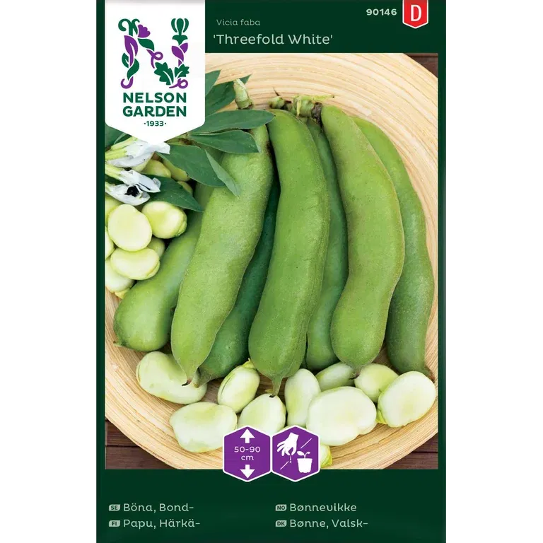 Bønnevikke 'Threefold White'