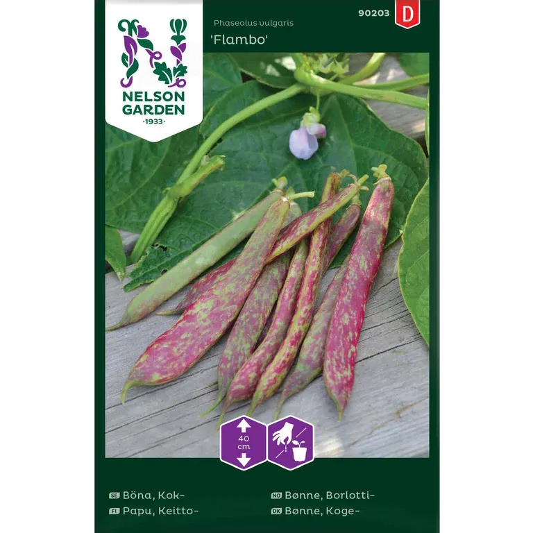 Borlottibønne 'Flambo'