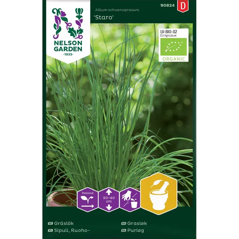 Gressløk 'Staro'