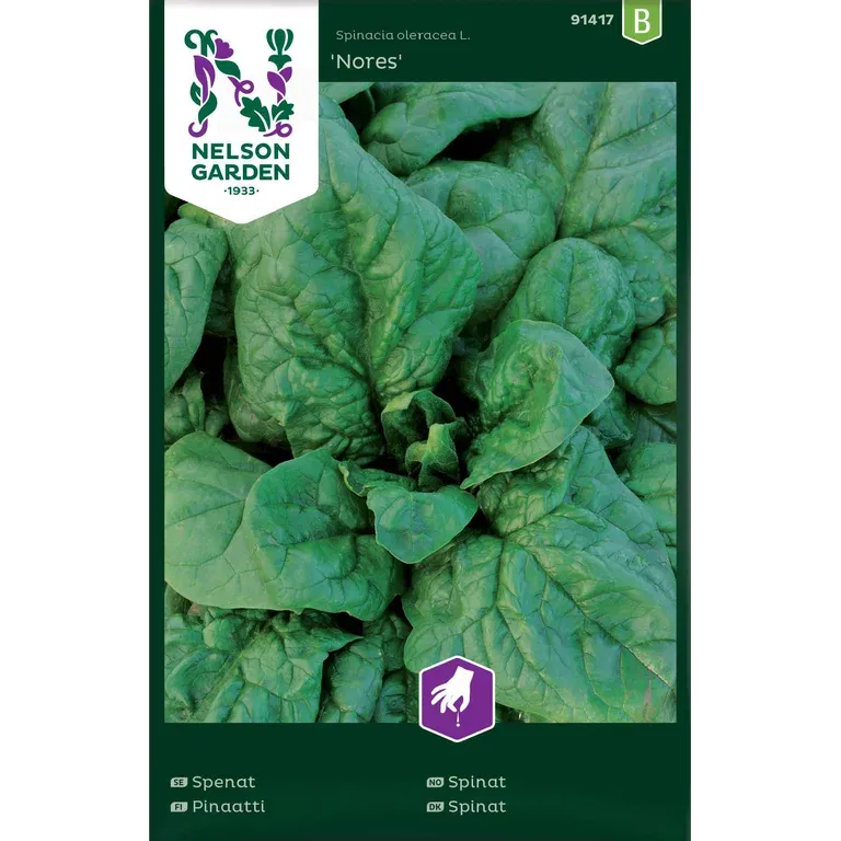 Spinat 'Nores'