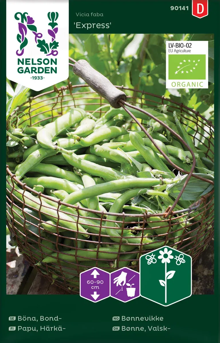 Bønnevikke 'Express'