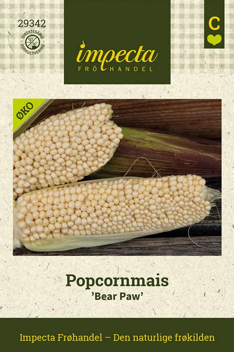 Popcornmais 'Bear Paw'