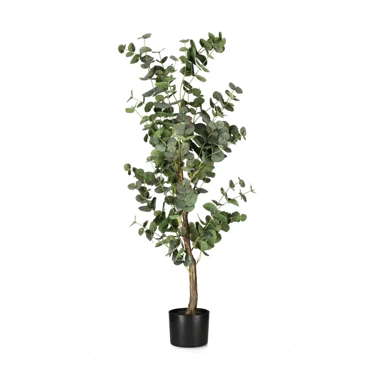 Eucalytpus tree potted H120 green