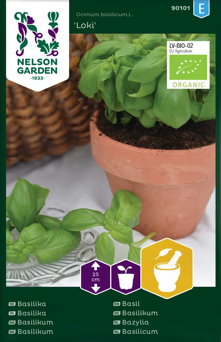 Basilikum ‘Loki’