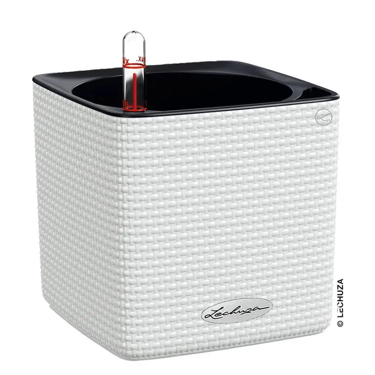 Selvvanningspotte Cube