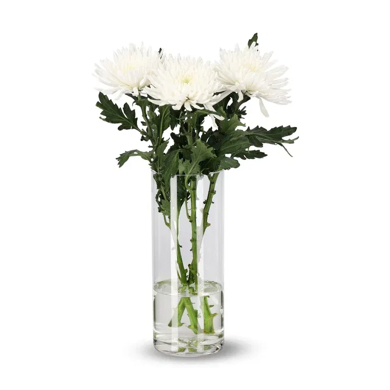 Krysantemum 3pk