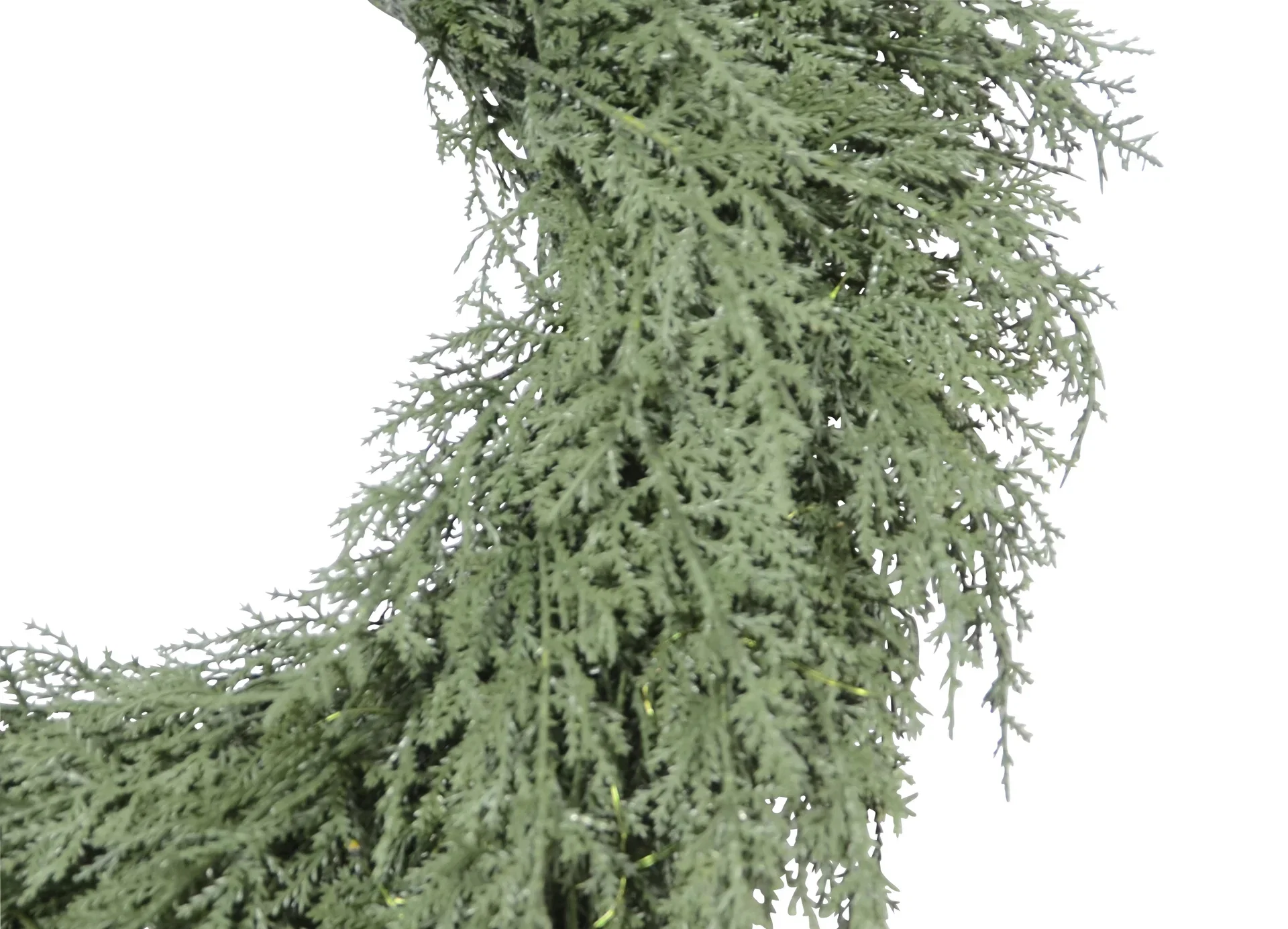 Krans Thuja