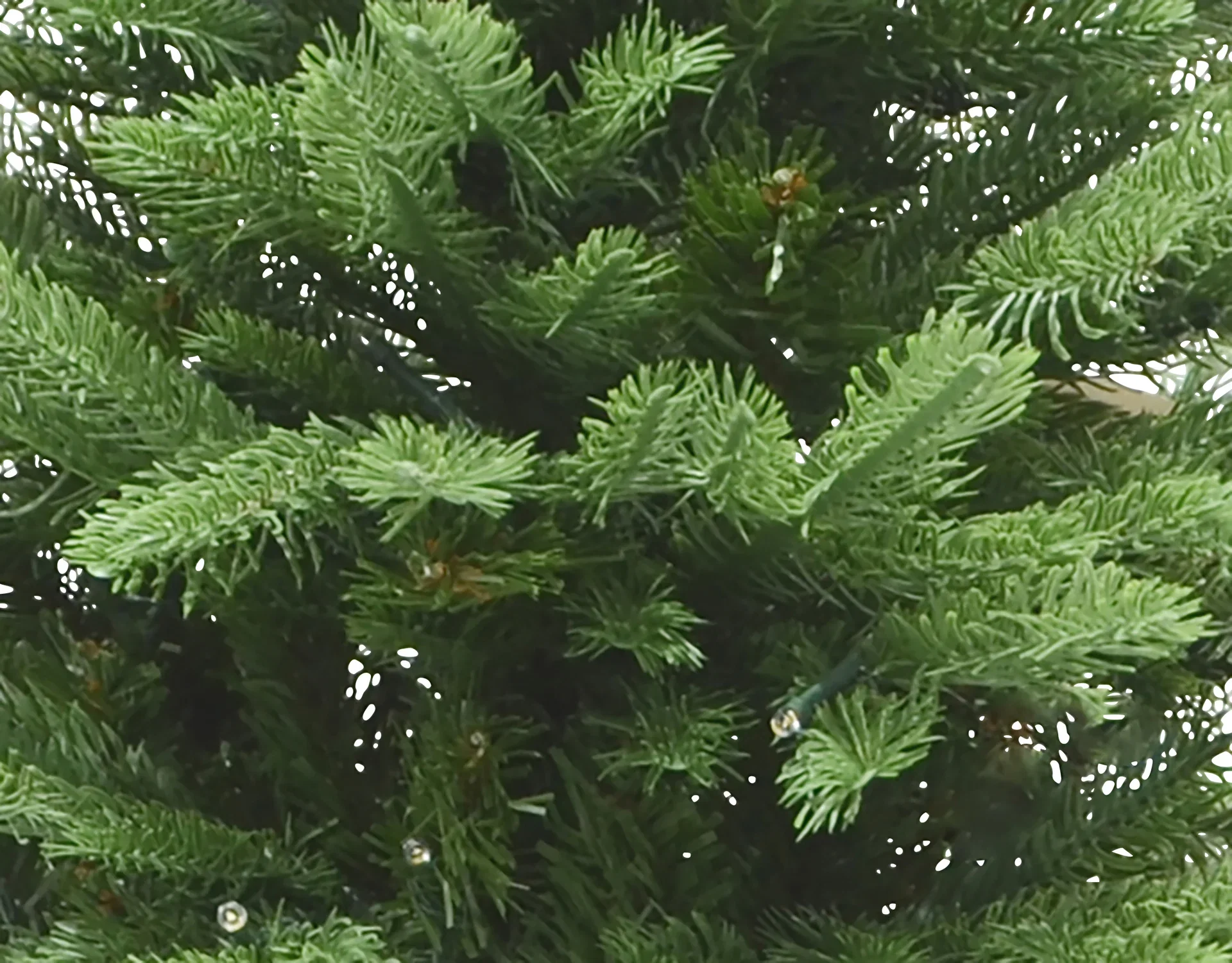 Juletre med Belysning