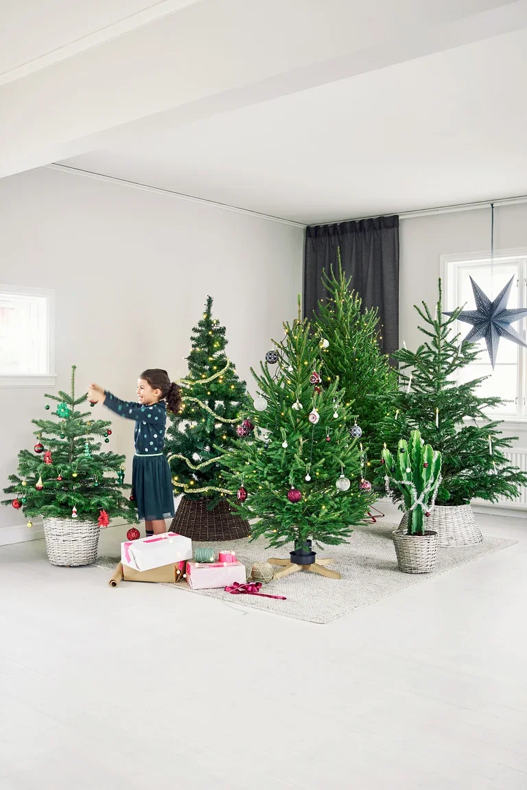 Edelgran Excellent 190-220 cm