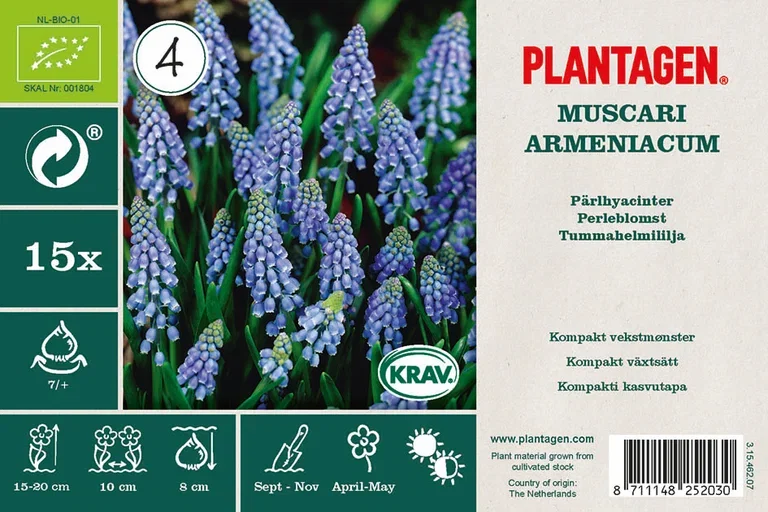 Perleblomst miks ØKO