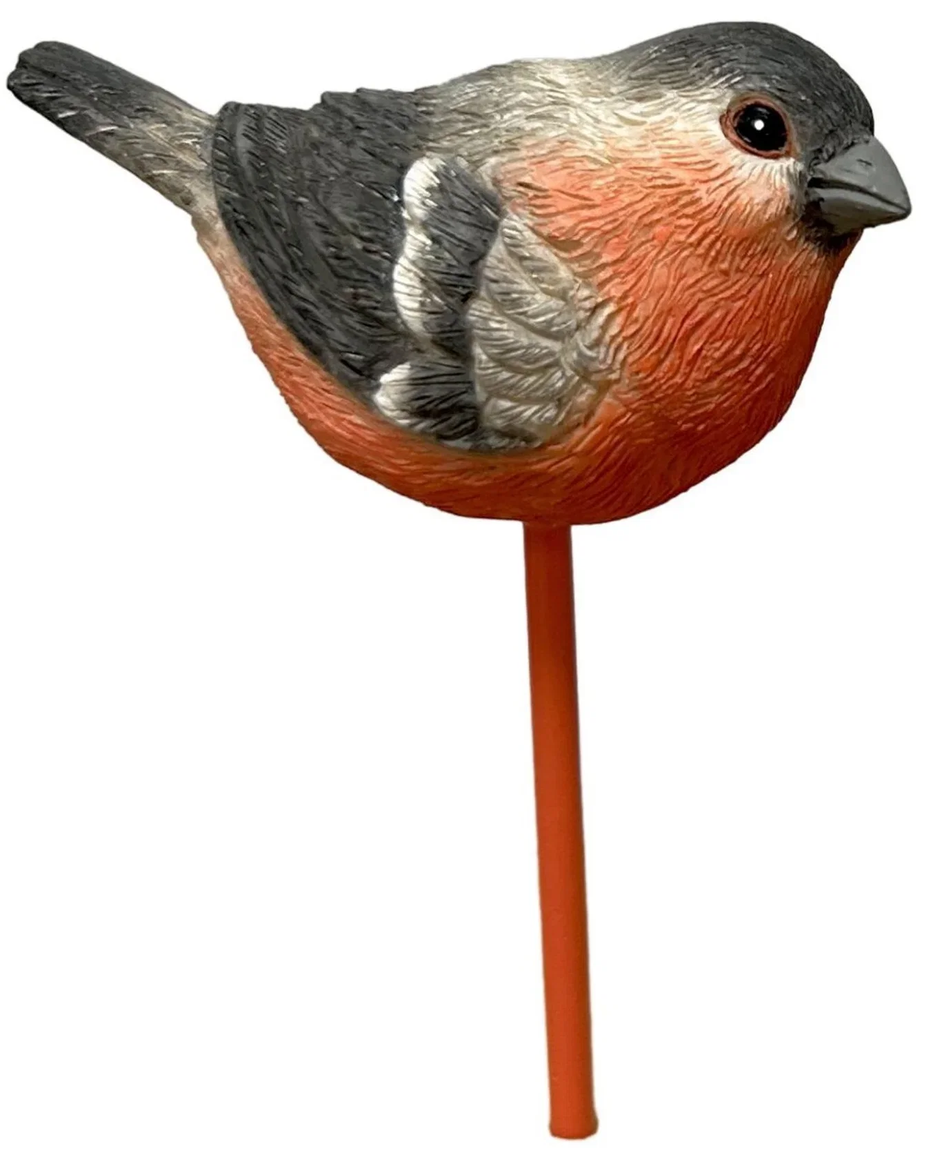 Dekorasjonspinne Dompap