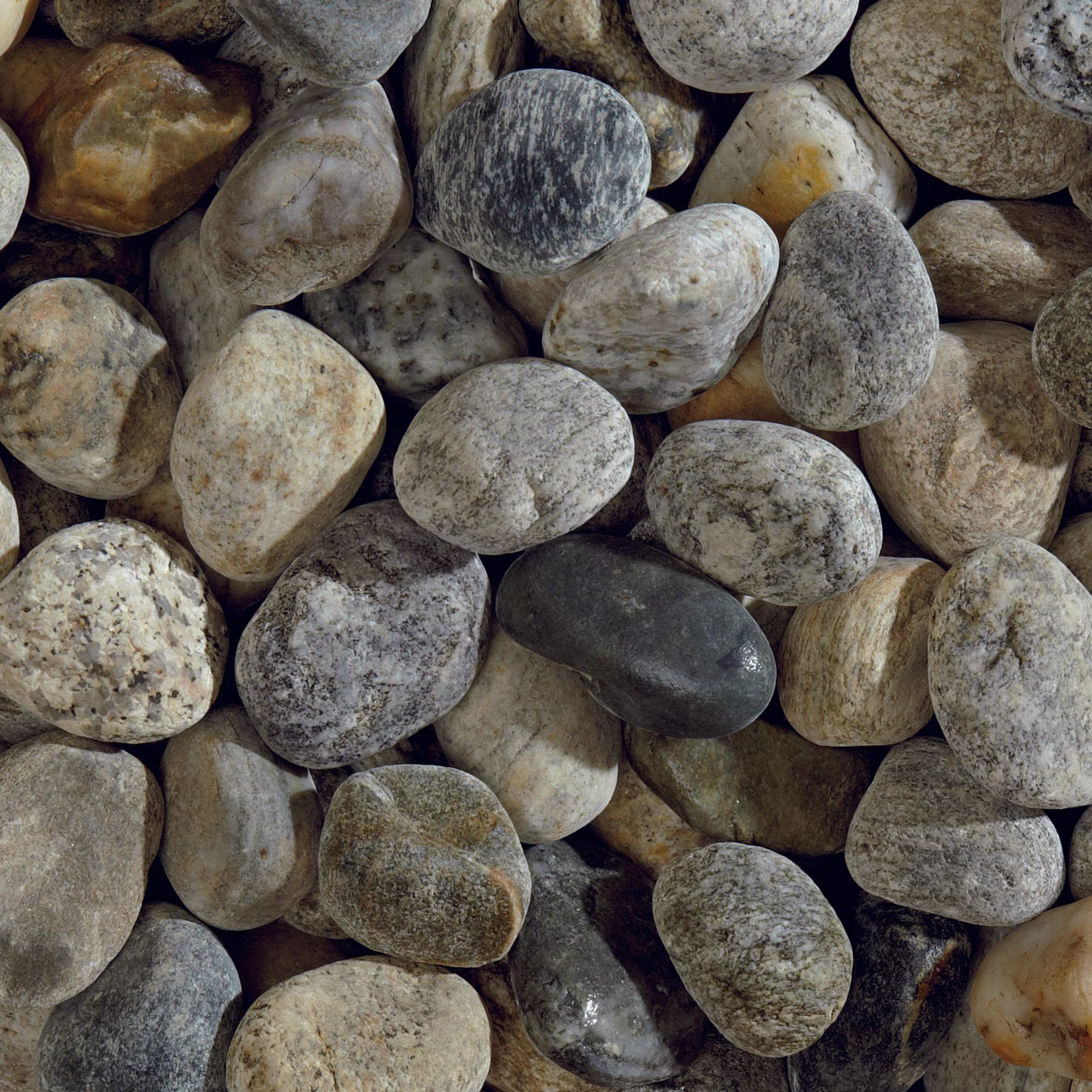 River Pebble Ticino Scelto 80-100mm NET