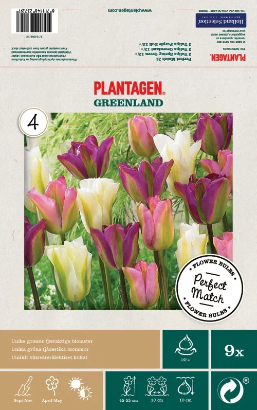 Tulipanmiks Greenland Blend - 9 stk