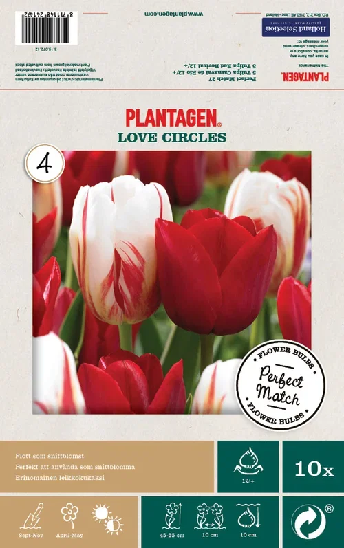 Tulipanmiks Love Circles - 10 stk