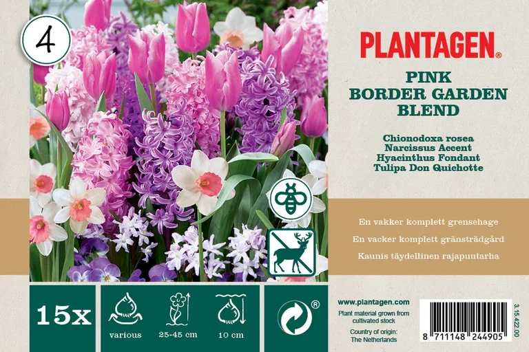 Blomsterløk miks 'Pink Blend' - 15stk