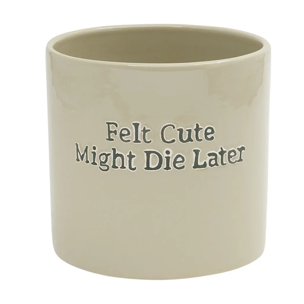 Potte Felt Cute Might Die Later