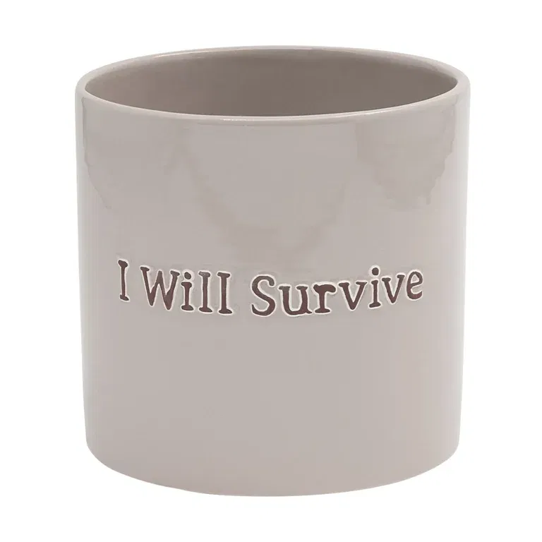 Potte I Will Survive