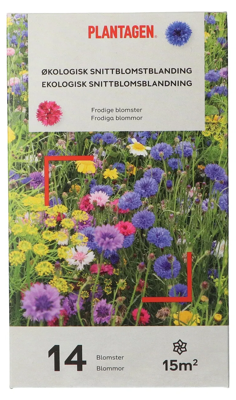 Økologisk snittblomstblanding