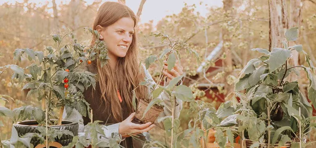 Garantert dyrkingsglede med ferdige grønnsaksplanter