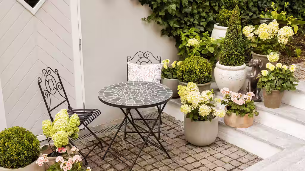 Plantasjen lanserer nytt hagekonsept som hjelper deg å finne din hagestil