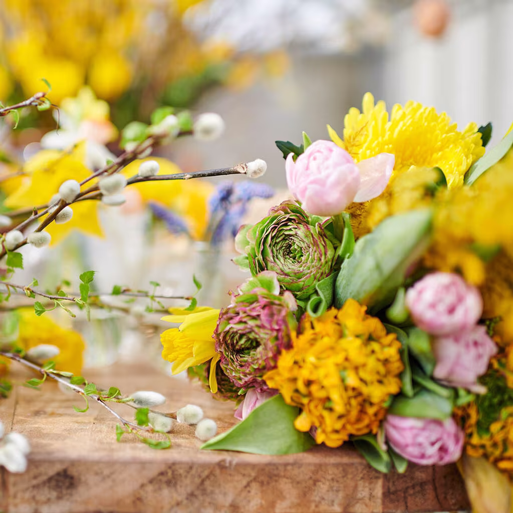 Påskeblomster – gjør det fint til påske med fargerike blomster