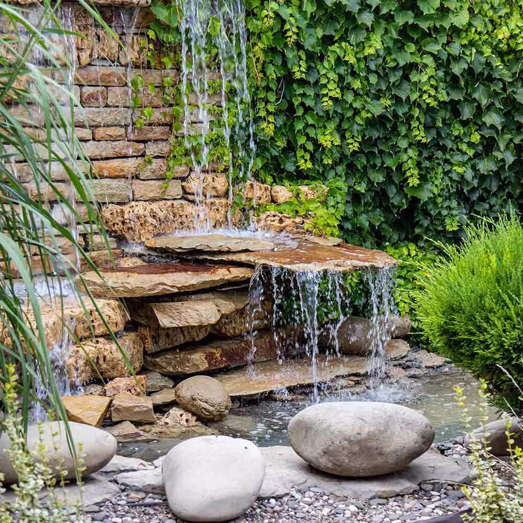 Lage hagedam – slik anlegger du dam i hagen