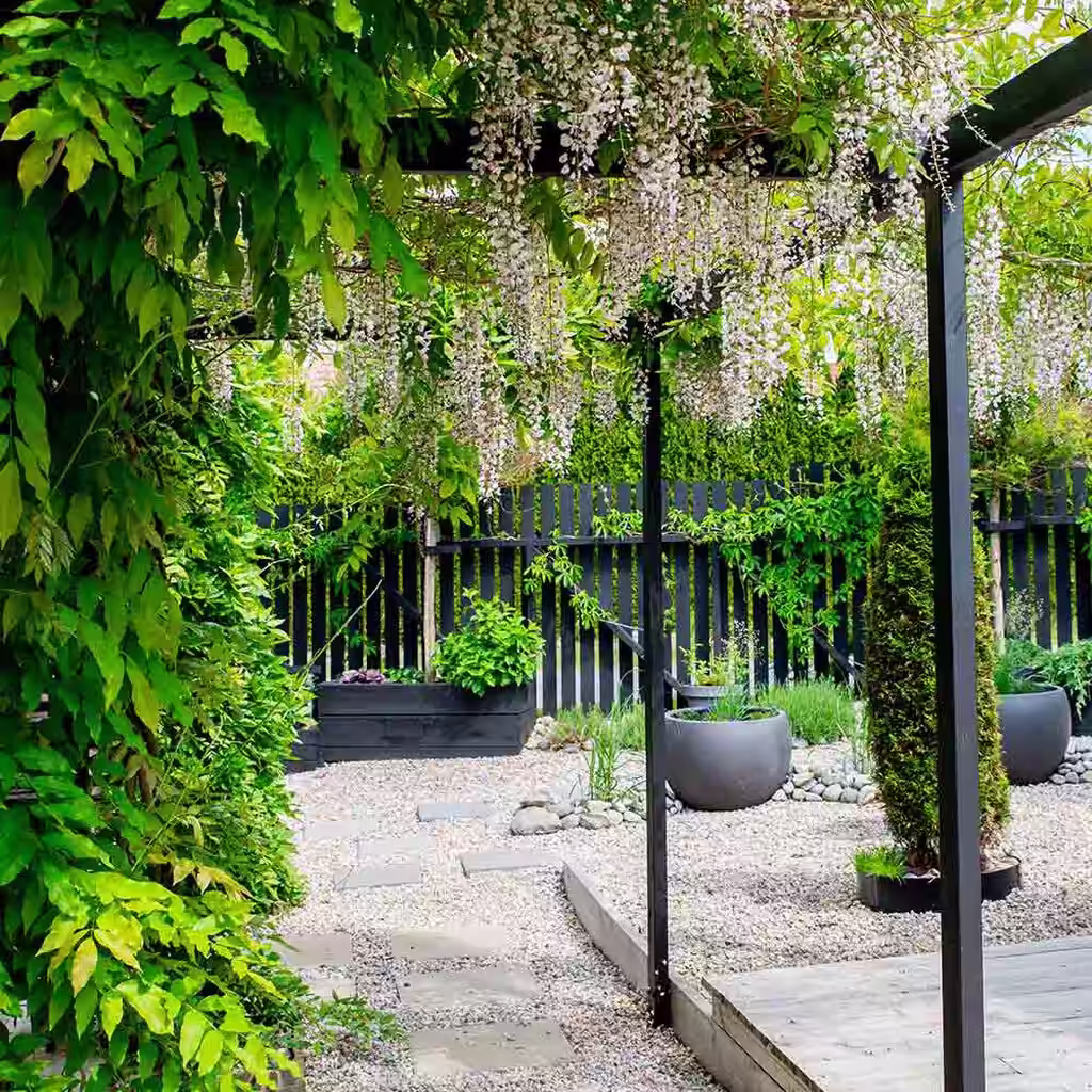 Hagebesøk: Japandi-hage hos Sylvia