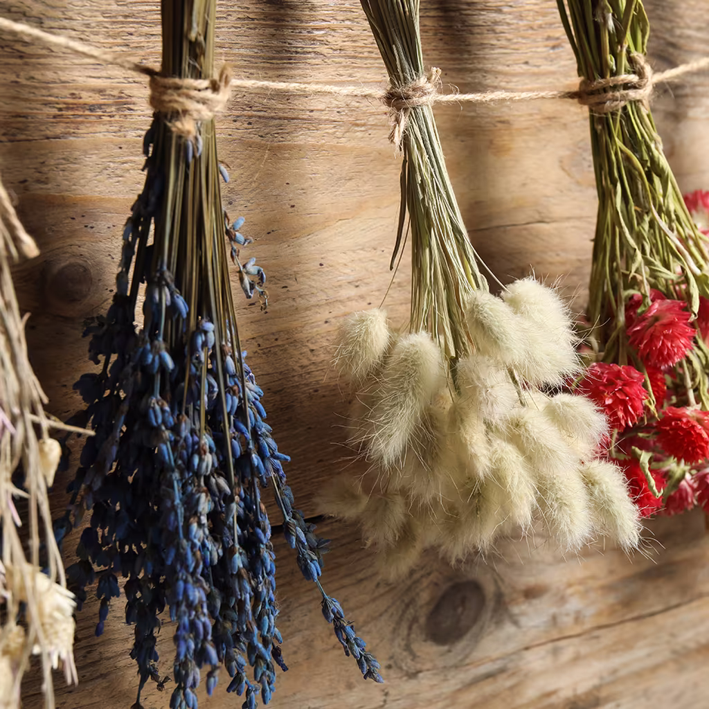 Tørk blomster – lag vakre buketter og kranser som varer