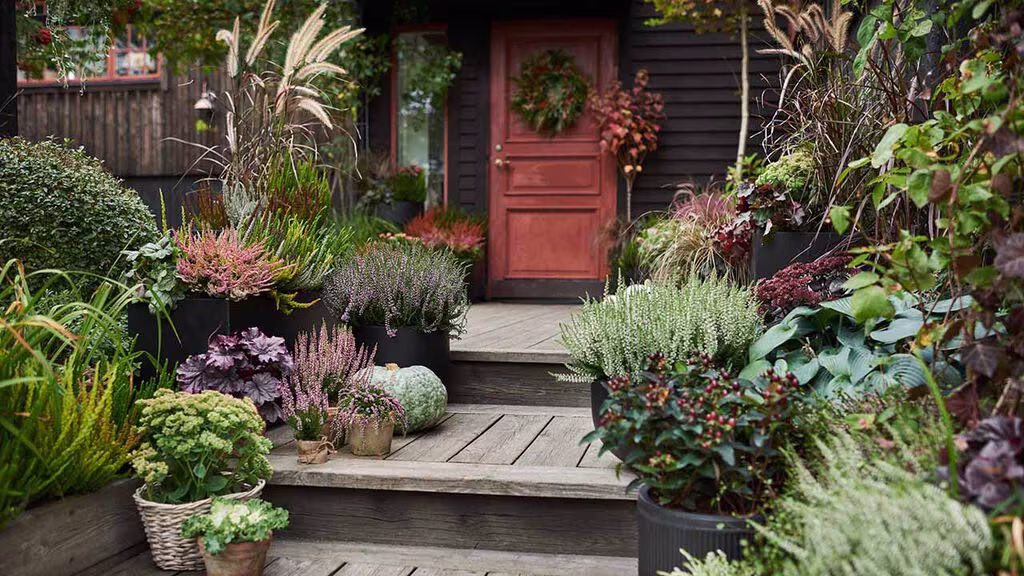 Gjør det høstfint på balkongen, terrassen og ved inngangen