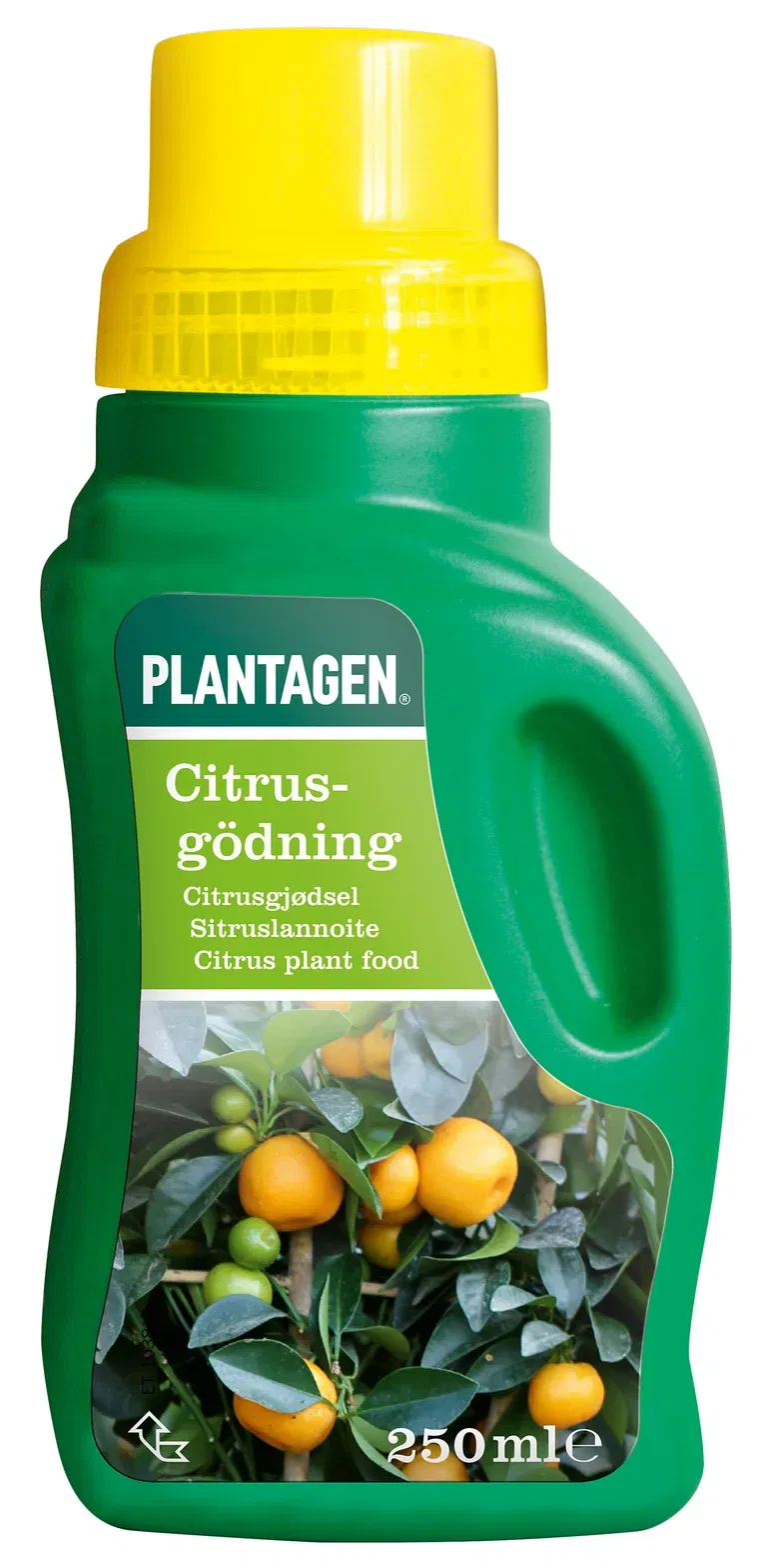 Citrusnæring