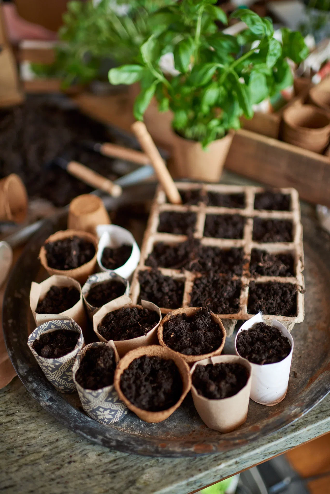 Fiberbrett med 12 potter