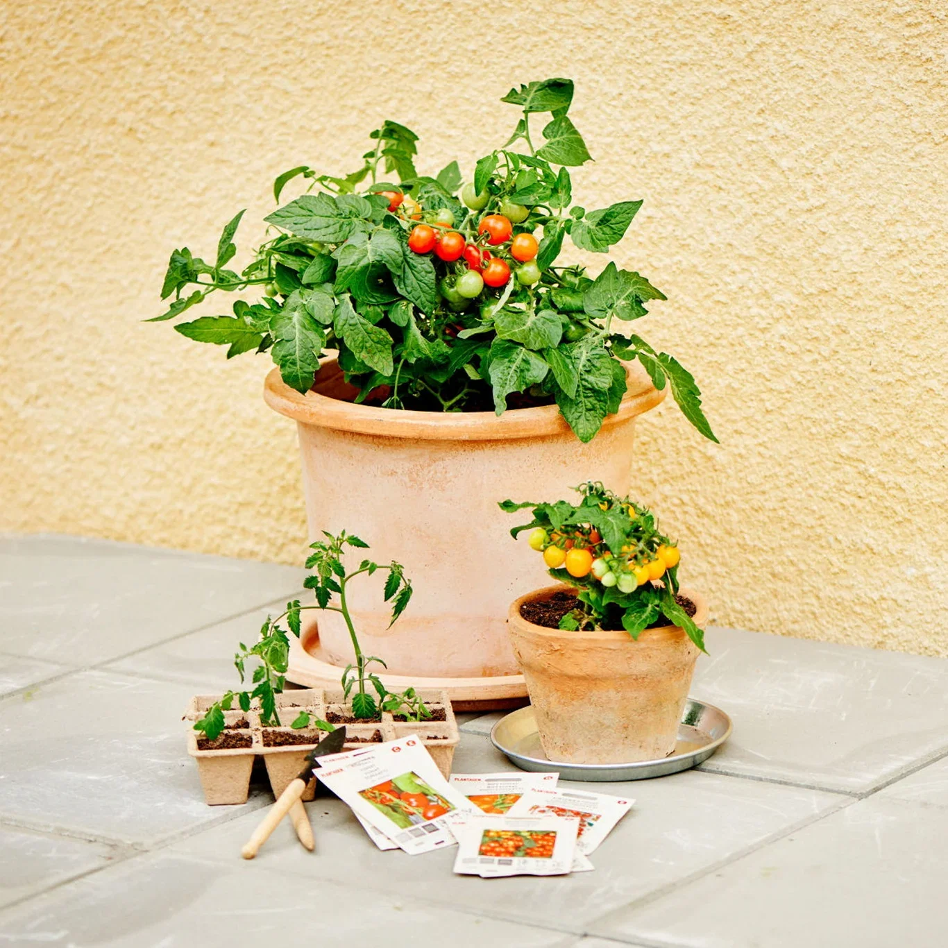 Fiberbrett med 12 potter