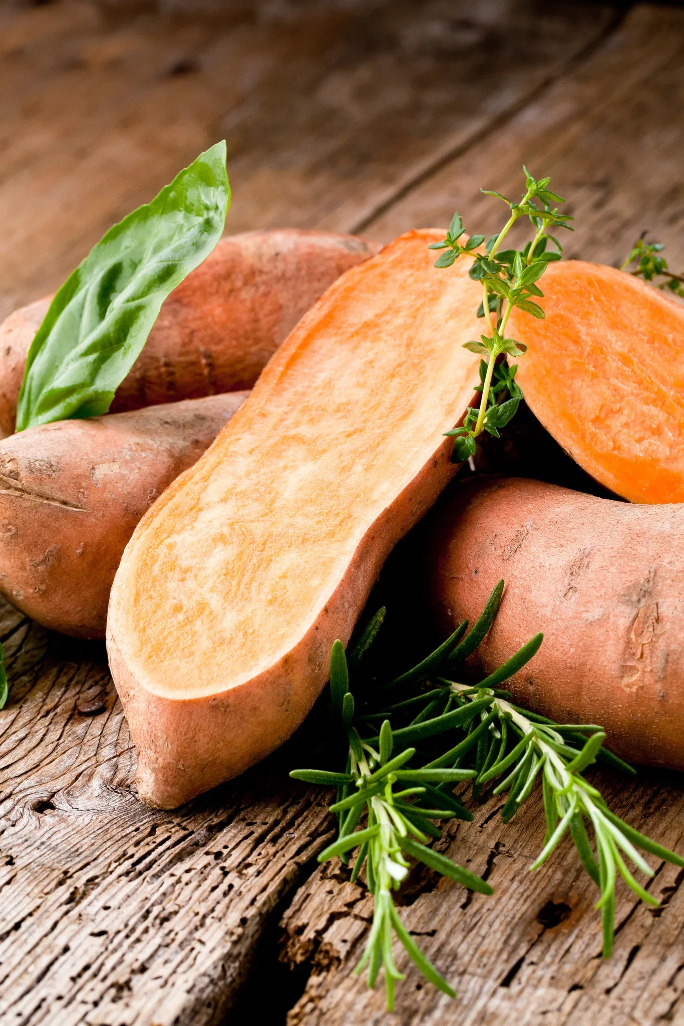 Søtpotet 'Beauregard'