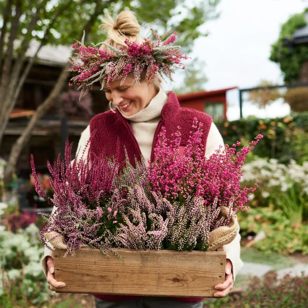 Røsslyng Garden Girls