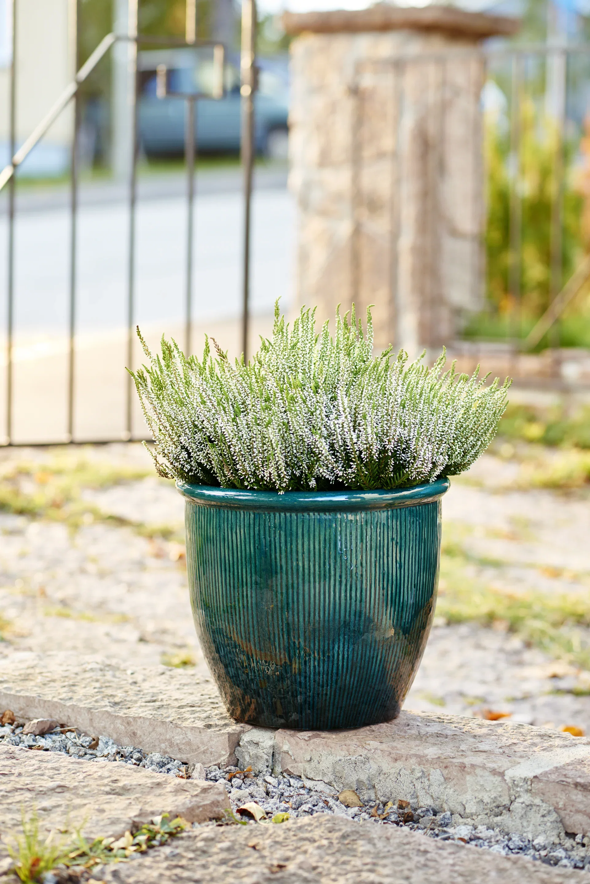 Røsslyng Garden Girls