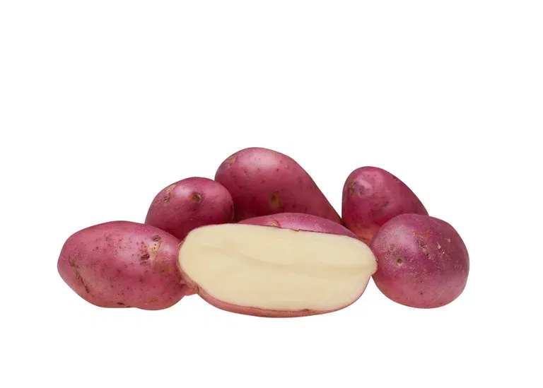 Settepotet 'Asterix'