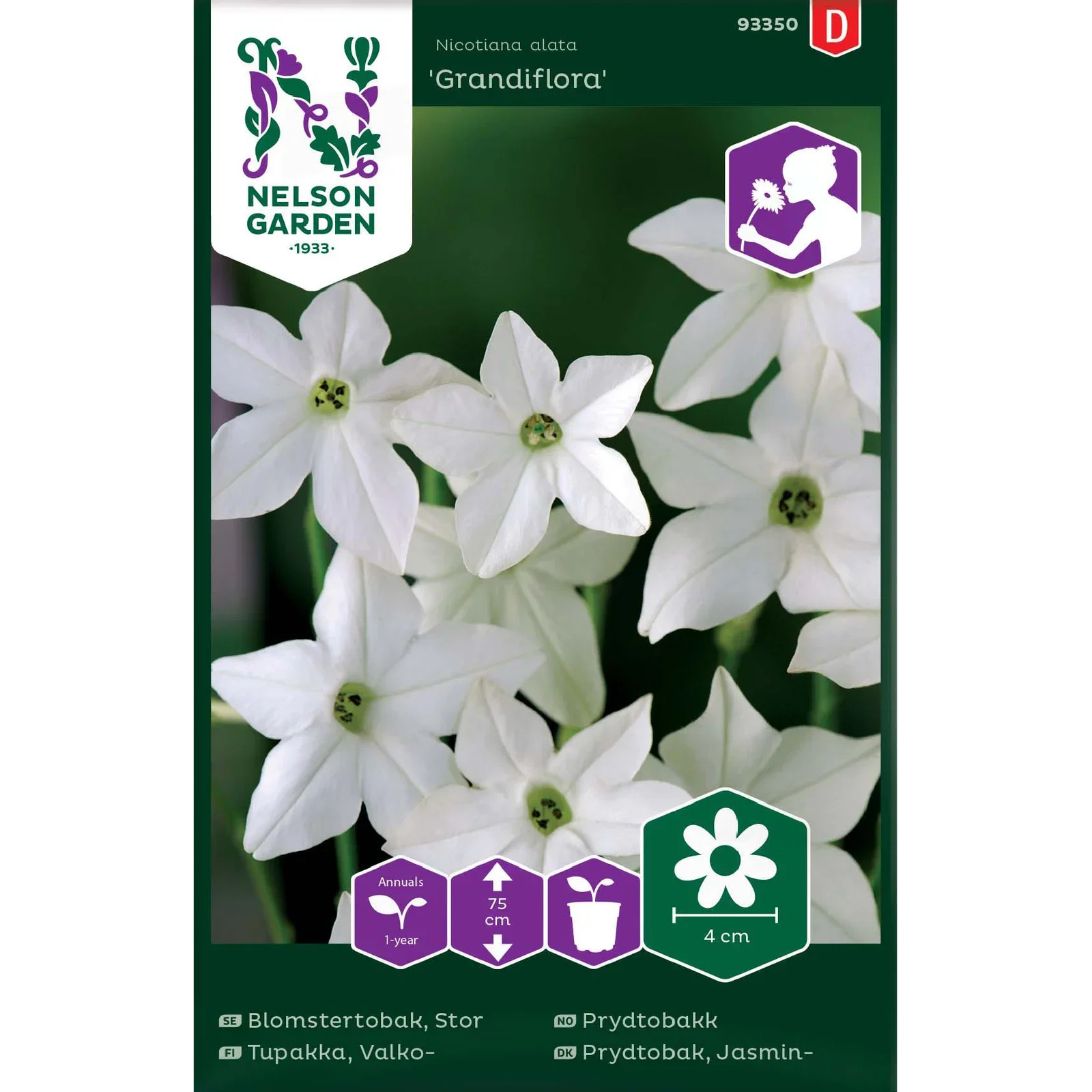 Prydtobakk 'Grandiflora'